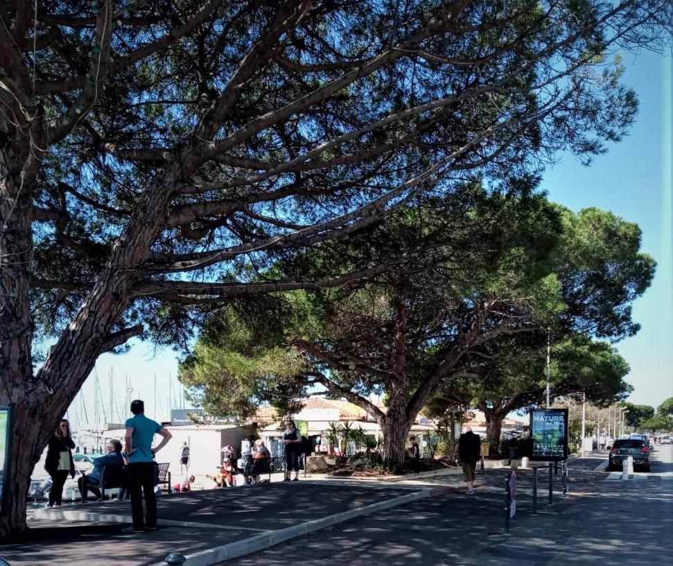 Le Jardin De La Plage - Linges Inclus La Londe-les-Maures Esterno foto